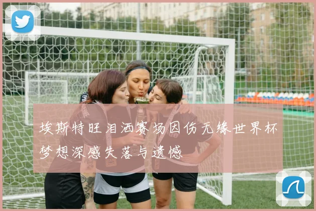 埃斯特旺泪洒赛场因伤无缘世界杯梦想深感失落与遗憾